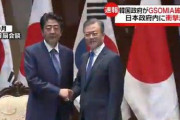 韓国がGSOMIA破棄したことに対して、日本政府の反応がまさかのｗｗｗｗｗｗｗｗｗｗｗ