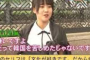 韓国人「これって日本起源だろ‥」日本の諺「嘘も100回言ったら本当に成る」が「韓国の諺だ」と日本人が主張中！　韓国の反応