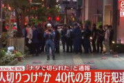 【JR水戸駅】両手にナタを装備通り魔を逮捕　無差別に複数人が切られた模様