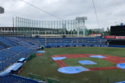 カープvsヤクルト戦(神宮)は雨天中止。雨ジョンソン回避。振替試合は未定。