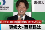 ヤクルト西舘投手につきそうなパワプロの特殊能力