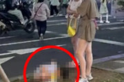 韓国人もビックリ「中国人観光客が路上で子供に（大）させてる」