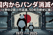 【悲報】日本、連日報道で中国のパンダカードが効いてしまう　東京都「新たなパンダの飼育を希望しているが回答はない･･･」