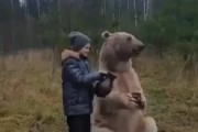 ロシアの日常風景！？人よりデカいクマと楽しそうに時間を過ごす少年が海外で話題に←見てるだけでハラハラするわ　海外の反応