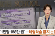 韓国人「日本への修学旅行費が一人16万円超？行けない生徒は“体験学習も禁止”の学校方針に議論広がる」→「これはもう家族旅行レベル…」