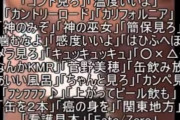 【菅野美報】ｶﾝﾉﾐﾎ…の新説が提唱される