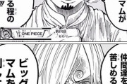 【画像】ワンピースのサンジさん、9週後の姿がコピペと話題に