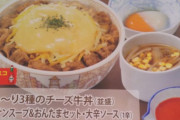 【悲報】すき家さん、なんJ民に媚びたセットメニューを販売してしまう…