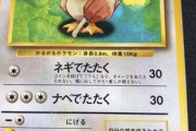 【画像】俺、ポケカで富豪になれる可能性が浮上するｗｗｗｗｗ