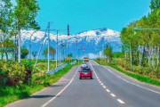 北海道車無しで観光ってきつい？