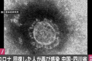 新型コロナウイルス、回復した人が再び感染