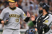 2013年の勝ち組は阪神と広島 ドラフト、“10年後の答え合わせ”【セ・リーグ編】