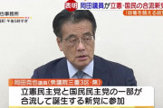 ルーピー合流でコンプリートだろ？　〜　岡田克也衆院議員(三重3区)が合流新党に入ると表明  新党の名称は「民主党」を推す