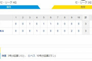 セ･リーグ De3-3T[10/30]　阪神終戦　九回２死から悪夢の同点被弾　延長十回には幻の押し出し死球