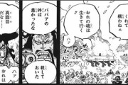 【ワンピース】百獣のカイドウ、正々堂々を重んじる武人だった”！！！！！！！！！！！