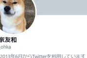 【悲報】元メジャーリーガー大家友和さんのTwitter w w w w w w w w w w