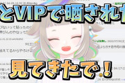 【悲報】Vtuberさん、5chのスレを見に行って心無いレスを見てしまう･･･