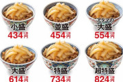 【朗報】吉野家さん、ねぎだく牛丼販売へｗｗｗｗｗ