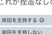 【悲報】X民「岸田内閣の支持率が回復している！？あり得ない！アンケートで捏造なしの民意を問うぞ！！」→結果・・・