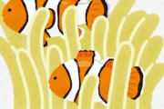 【魚】クマノミ、共生先のイソギンチャクを個体ごとに見分ける能力を持っている事が判明　沖縄のOISTと台湾の研究チーム発表