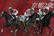 第11回 ラジオNIKKEI杯京都2歳ステークス(GⅢ)