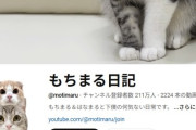 ネコ好きな人は絶対に見ない『もちまる日記』虐待がヤバすぎて登録者数が激減する