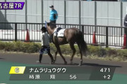 名古屋競馬で２頭の馬がお互いにゼッケン間違えてパドック周回する珍事