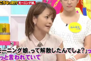 中澤裕子「モーニング娘。って解散したんでしょ？ってずっと言われていた」