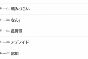 【悲報】日本さん、チーズ牛丼に対する差別がガチで深刻化してしまう・・・・