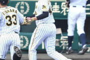 【阪神】秋山が八回途中１失点の力投で５勝目の権利　スタンドから拍手！