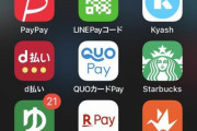 このご時世にペイペイとかを使ってない人間の正体