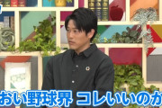 内田篤人「野球って球場の形違うのアリなの？」