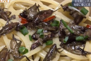 【悲報】コオロギ食さん、そもそもの見た目がキモすぎて批難殺到WWWWWWWWWWWWWWW
