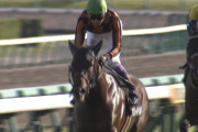 【競馬】武豊「パドック見る意味ない」