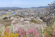【画像】3泊4日で宮城旅行してきたから写真貼ってく