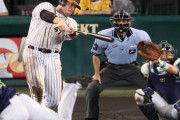 阪神・ボーア、チーム４冠弾！８試合連続安打＆猛打賞で打率３割乗せた