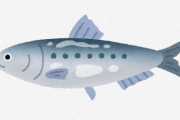 イワシ「なあ日本人よ、俺に“弱い魚”って名前をつけたよな？」
