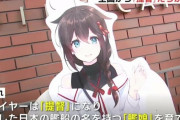 【超絶悲報】駆逐艦「菊月」を所有している団体へ、複数の『艦これプレイヤー』が「ガソリンをまく」など犯行予告をし実際に放火未遂が発生。団体が非難声明
