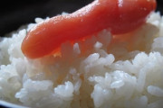 白米に辛子明太子は合わないと思うんやが