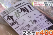 【朗報】ニシン豊漁！！今すぐ食え！！！！！！！