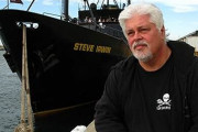 【環境テロ】反捕鯨団体「シー・シェパード」創設者のポール・ワトソン容疑者が拘束！日本の調査捕鯨を妨害した容疑で国際手配中