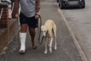 犬「ご主人様が骨折してもうた…せや！」