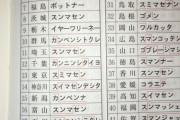 【悲報】「すみません」の言い方、沖縄だけおかしすぎるｗｗｗｗｗｗｗｗ