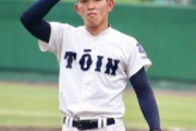 甲子園春夏連覇した柿木蓮の1年目の成績wwww
