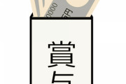 【唖然】お母さん「アンタ、ボーナスいくら貰ったの？」ワイ「貰ってない」→正直に言った結果ｗｗｗｗｗ