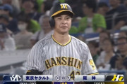 阪神がヤクルトをフルボッコ　大竹ジエンゴで7点目
