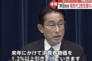 岸田首相、「消費者物価を1.2％以上引き下げる」と表明