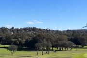 【動画】豪のゴルフコースに飛行機が不時着してゴルファーが後頭部強打。