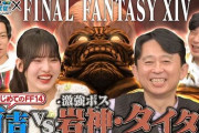 【正論】有吉「FF14の戦闘ってダメージ与えてるかも分からなくて困る」