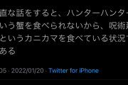 【悲報】ツイッター民「正直な話ハンタという蟹を食べられないから呪術廻戦というカニカマを食べてる」